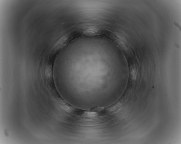X0000097810665200803141120