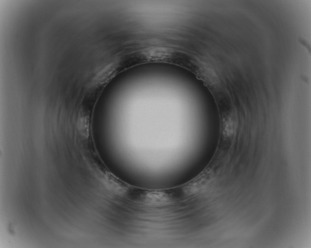 X0000097810666200803141120