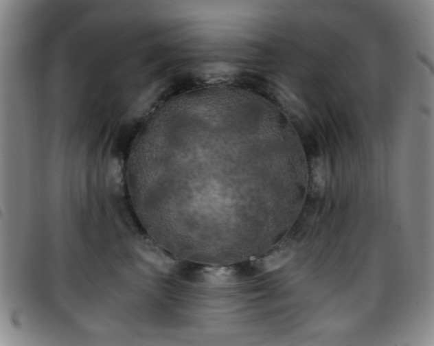X0000097810667200803141120