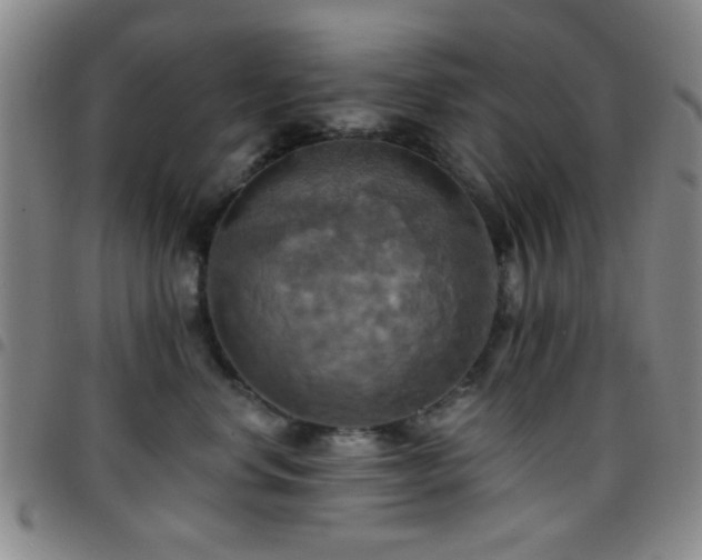 X0000097810668200803141120
