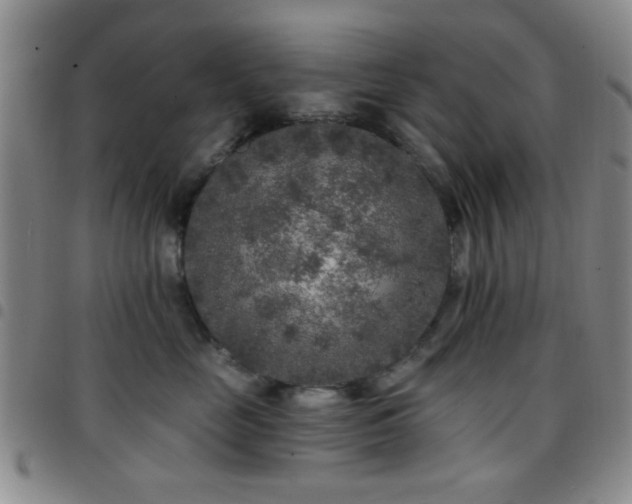 X0000097810669200803141120