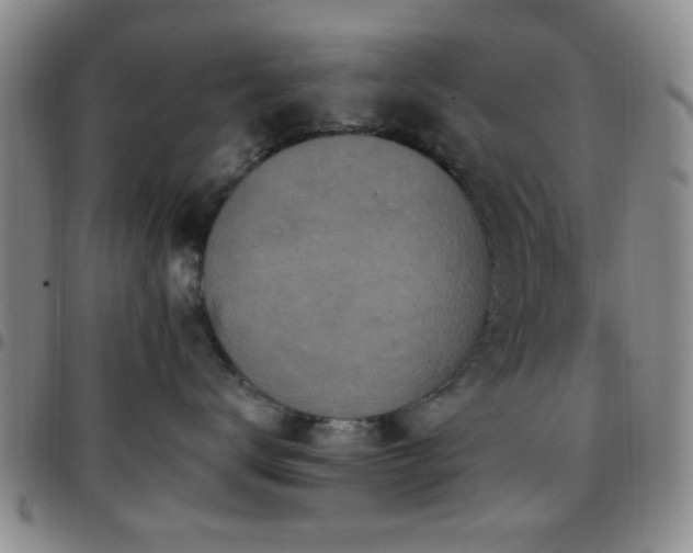 X0000097810672200803141120