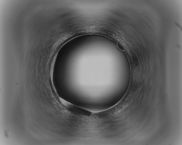 X0000097810673200803141119