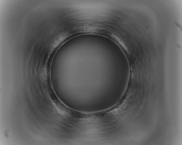 X0000097810674200803141119