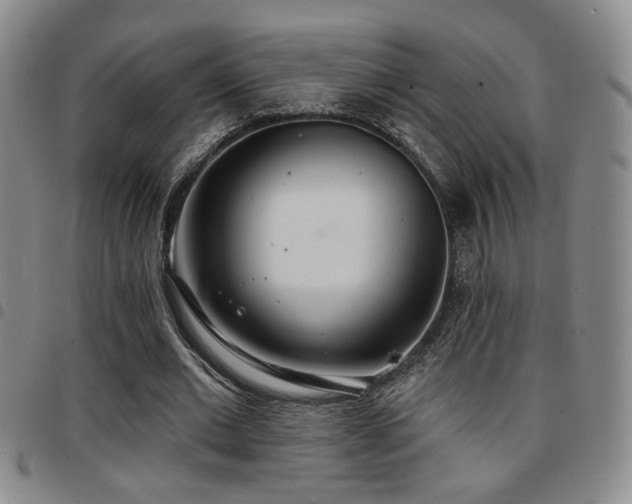 X0000097810677200803141119