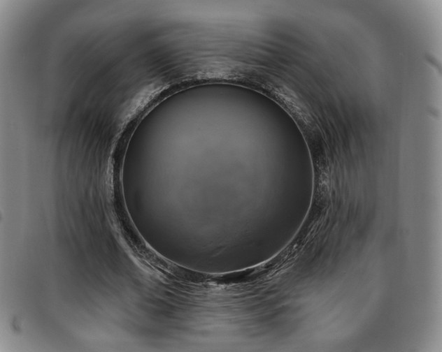 X0000097810678200803141119