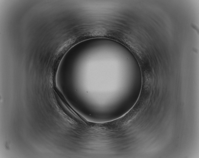 X0000097810681200803141119