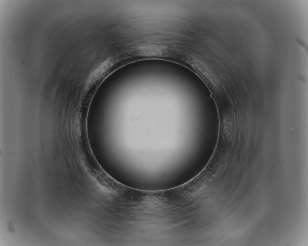 X0000097810682200803141119