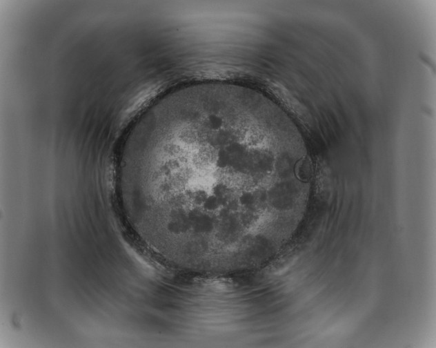 X0000097810683200803141119