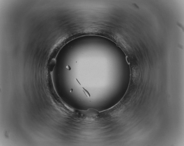X0000097810684200803141119