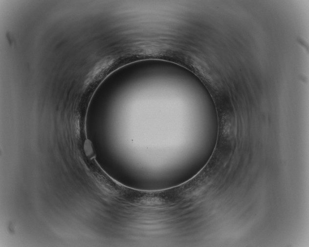 X0000097810685200803141119