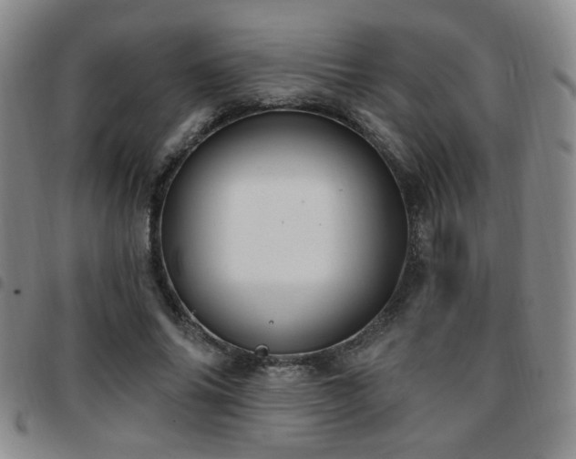 X0000097810686200803141119