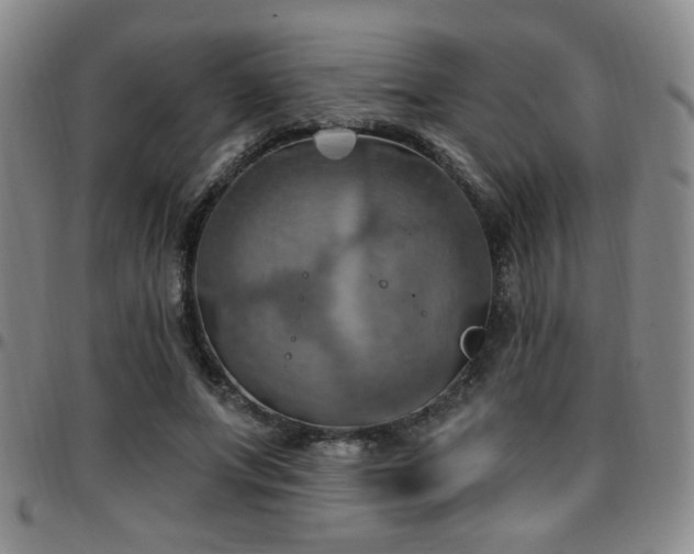 X0000097810687200803141119