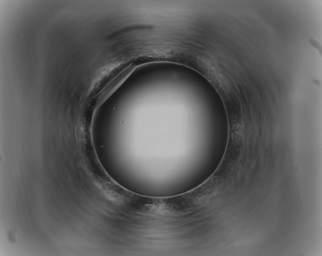 X0000097810688200803141119