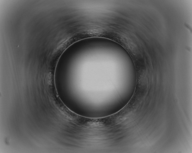X0000097810689200803141119