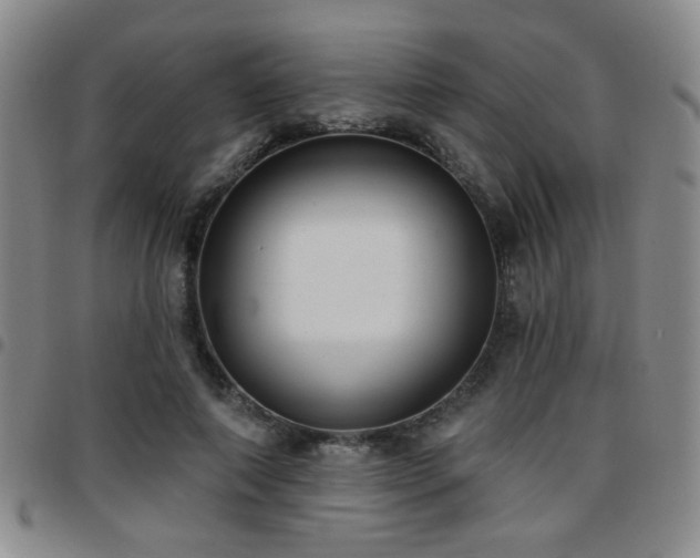 X0000097810690200803141119