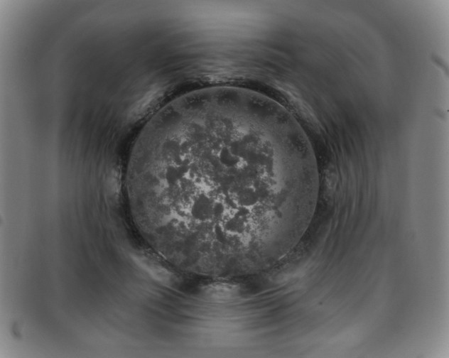 X0000097810691200803141119