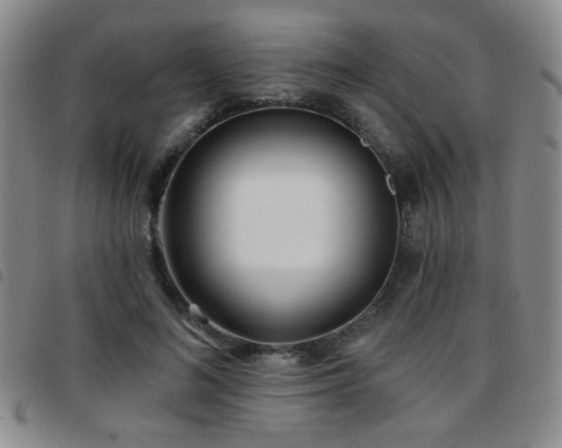 X0000097810692200803141119