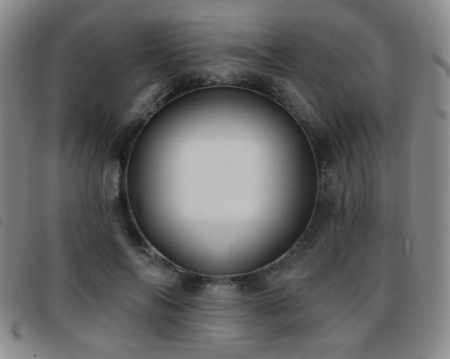 X0000097810694200803141119