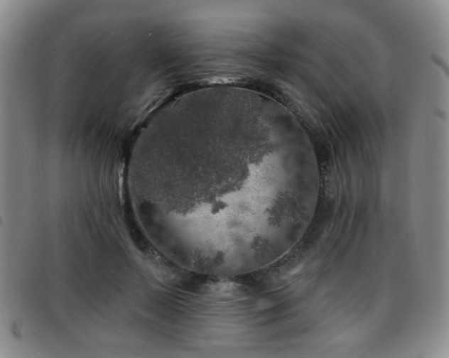 X0000097810695200803141119