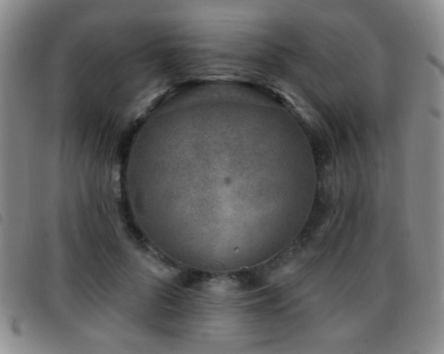 X0000097810696200803141119