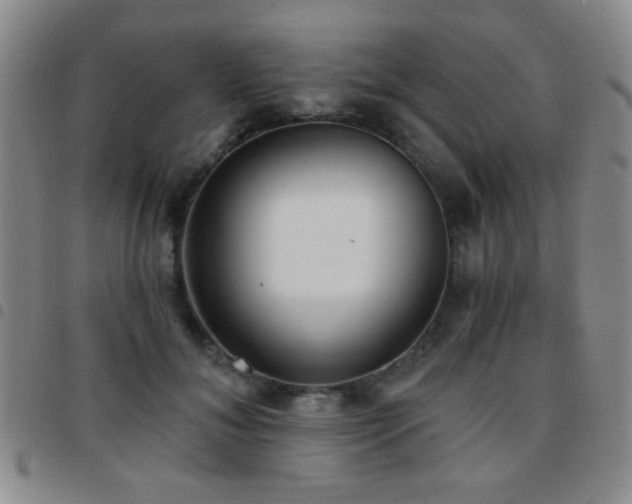 X0000097810700200803141119