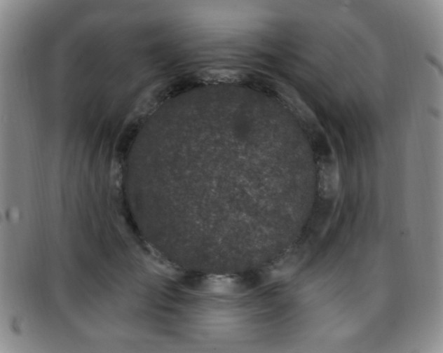 X0000097810701200803141119