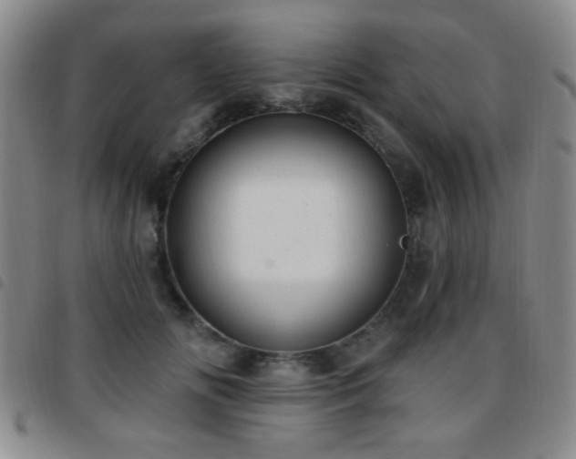 X0000097810702200803141119