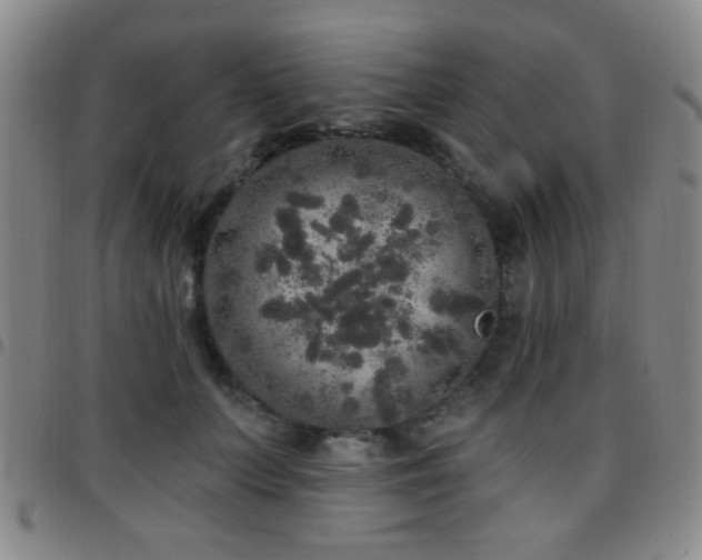 X0000097810703200803141119