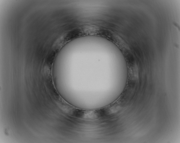 X0000097810705200803141119