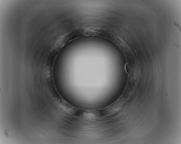 X0000097810706200803141119