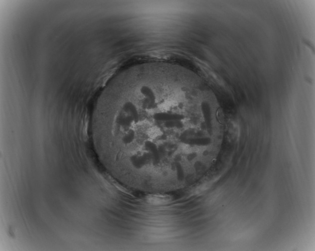 X0000097810707200803141119