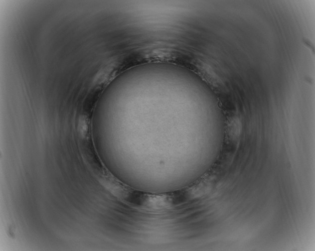 X0000097810709200803141119