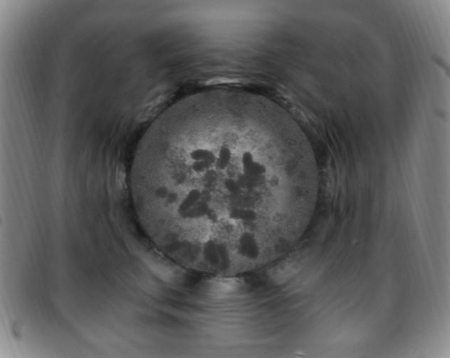 X0000097810711200803141119