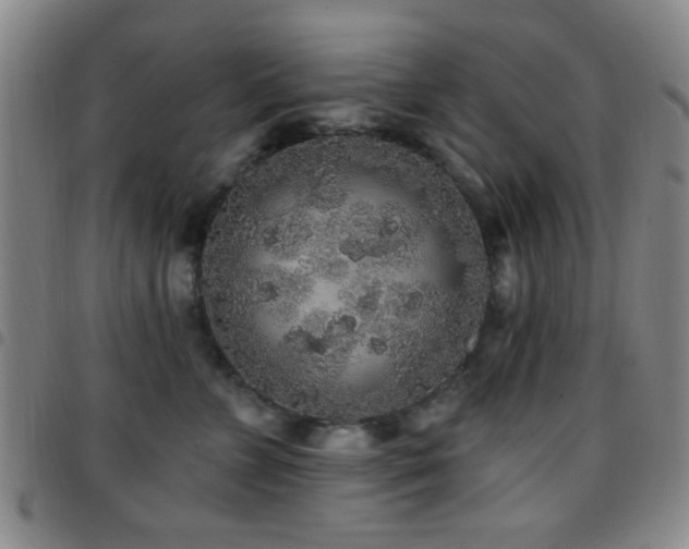 X0000097810715200803141119