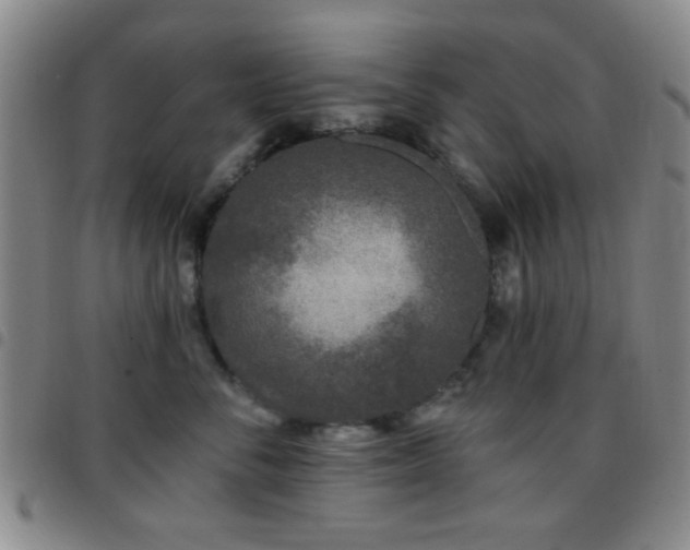 X0000097810716200803141119