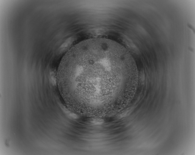 X0000097810719200803141119
