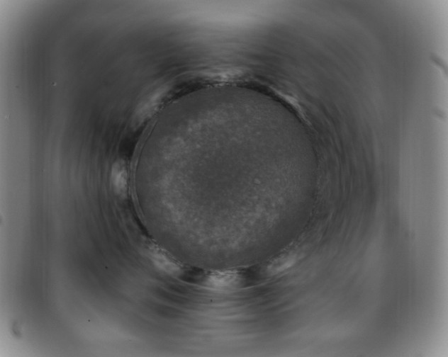 X0000097810720200803141119