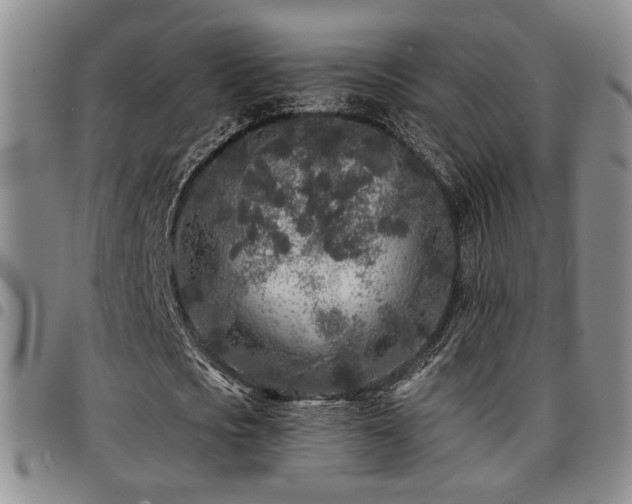 X0000097810721200803141118