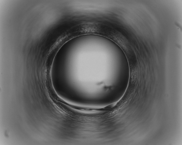 X0000097810722200803141118