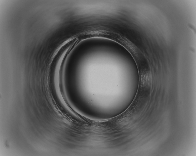 X0000097810724200803141118