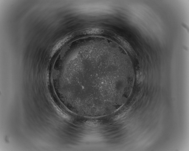 X0000097810725200803141118