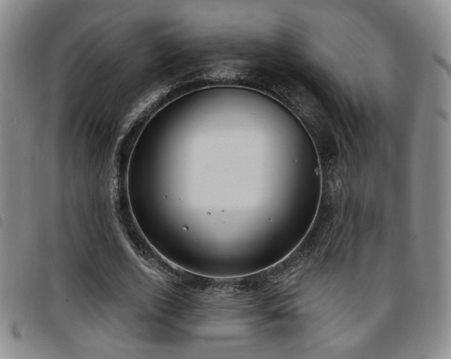 X0000097810728200803141118