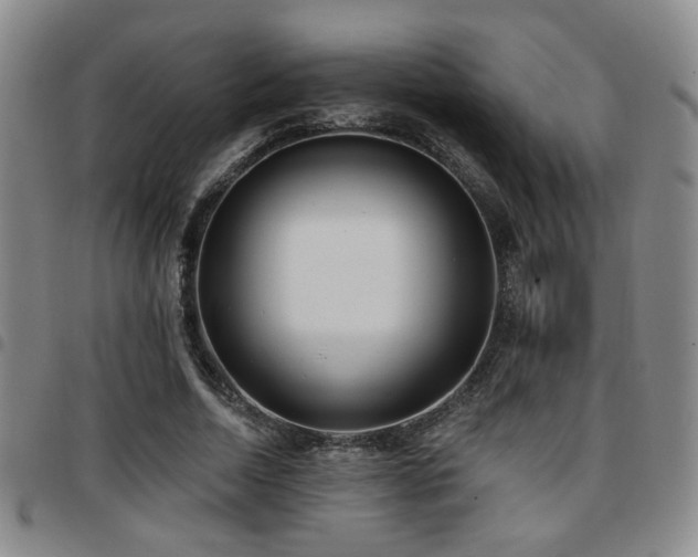 X0000097810730200803141118