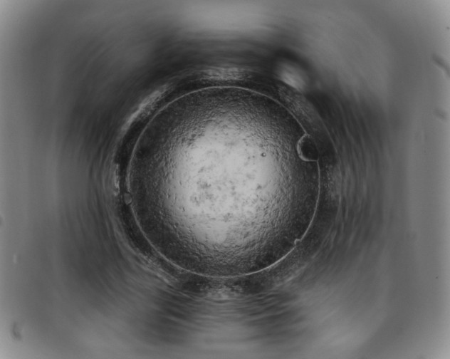 X0000097810731200803141118