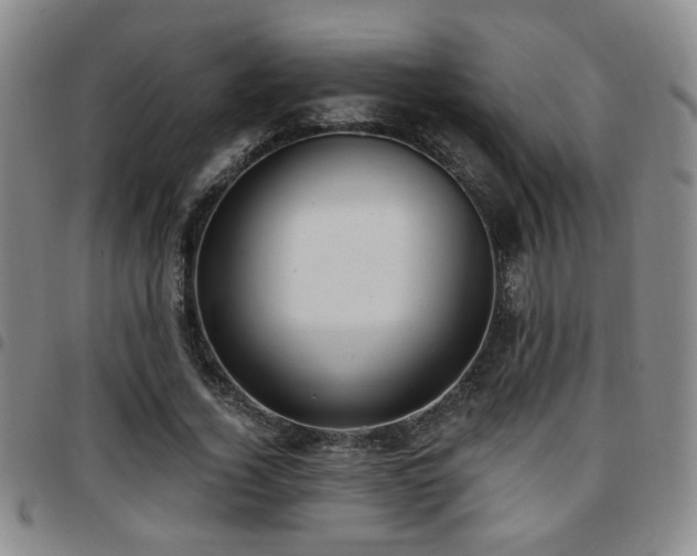 X0000097810732200803141118