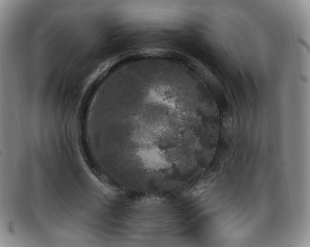 X0000097810734200803141118