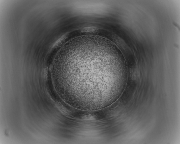 X0000097810735200803141118