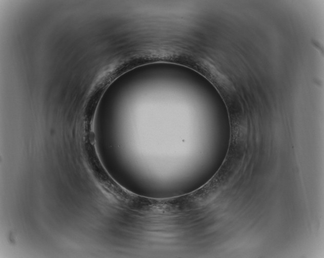 X0000097810736200803141118