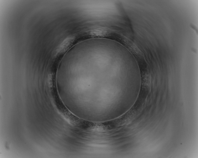 X0000097810738200803141118